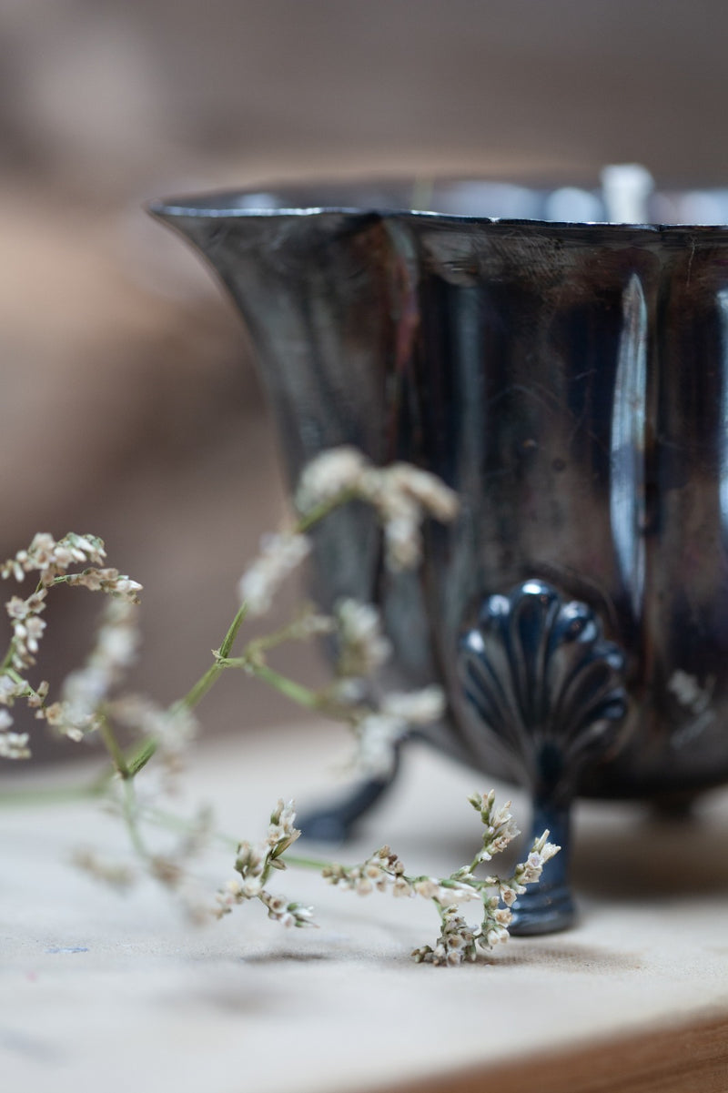 קנקן וינטג&